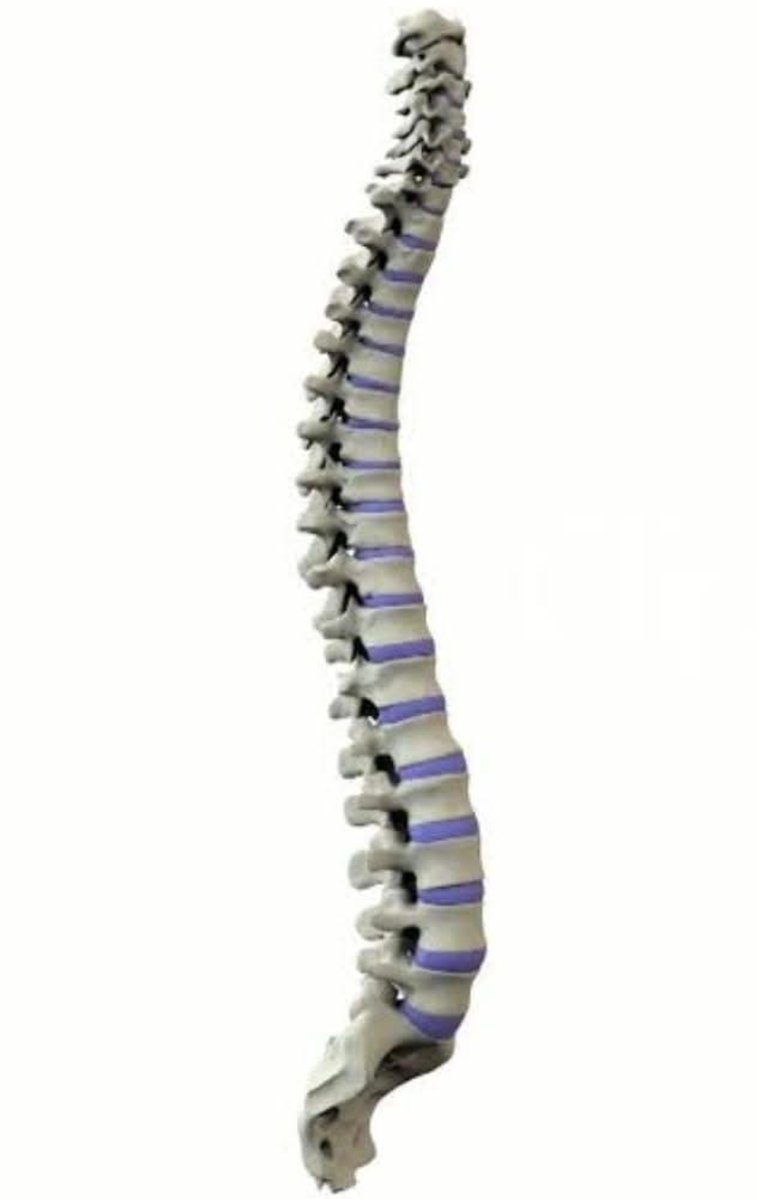 Soran Haldi Mızrak tweet media