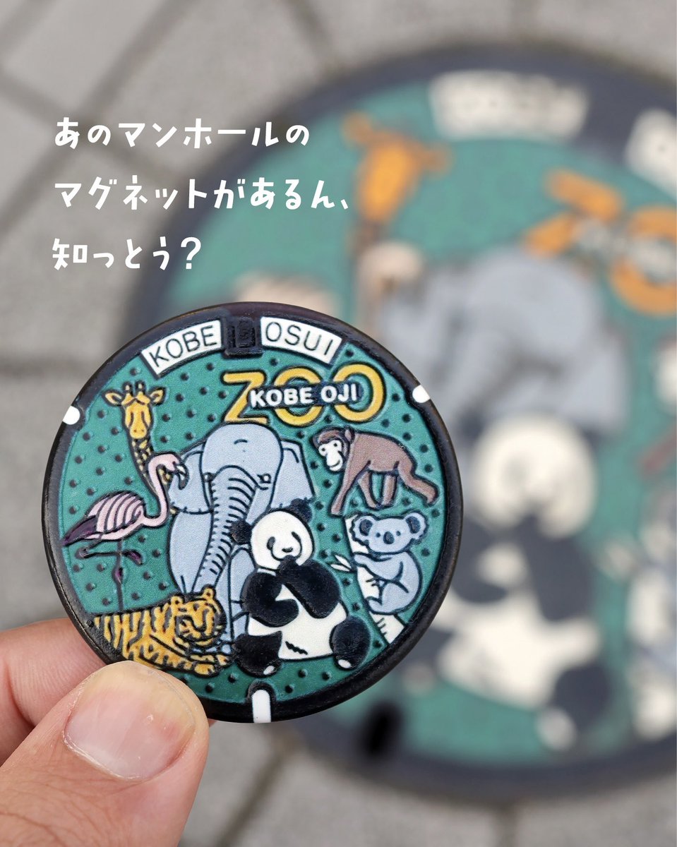 神戸人 tweet media