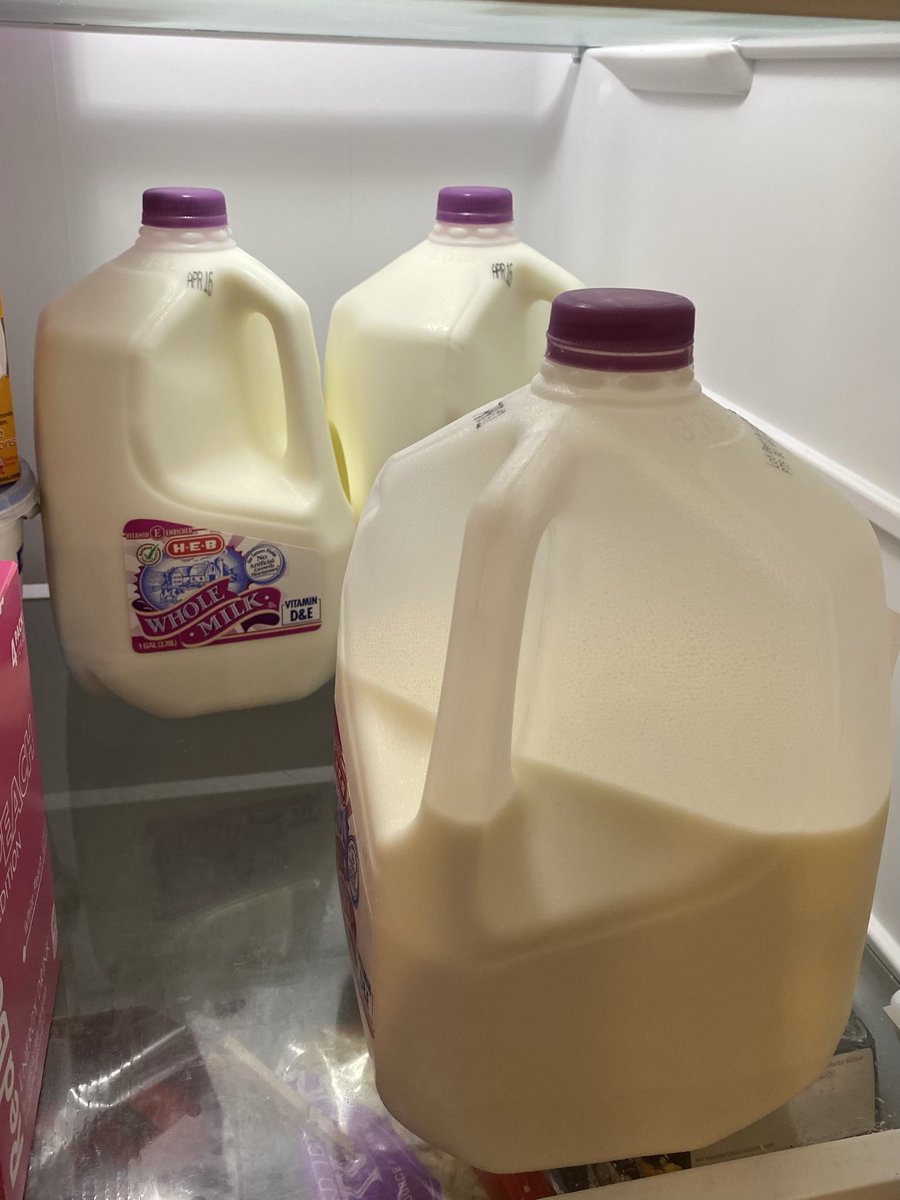 Amy The Fit Raccoon tweet media