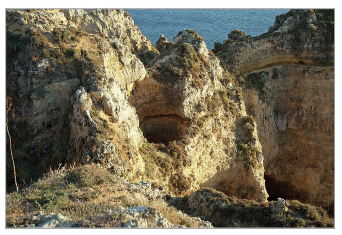 Shonna Hawkins Photography tweet media