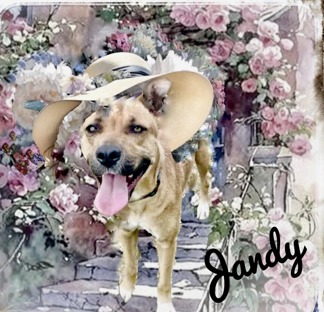 Cheryl Ramirez tweet media