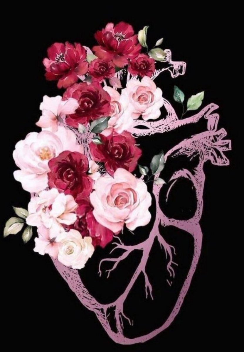 بشرى الشتيوني 🌿. tweet media