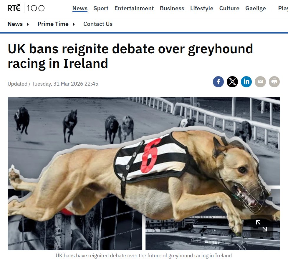 Ban Blood Sports tweet media