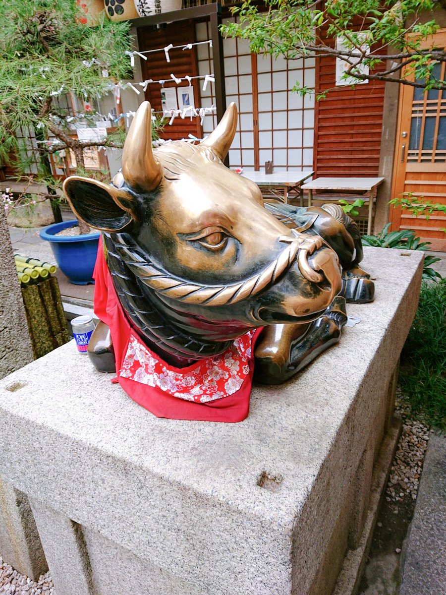 𝐲𝐮𝐦𝐢｜第31回キャリコン挑戦中✨ tweet media