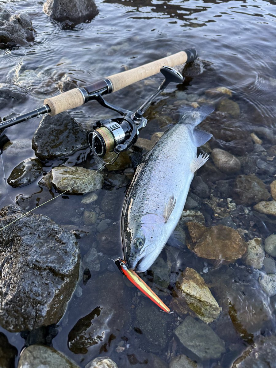 坂本禎 tweet media