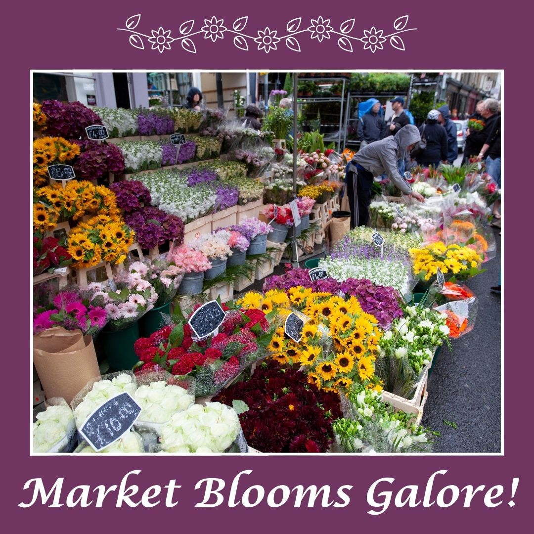 Jenise Gato aka "The Peaceful Agent" tweet media