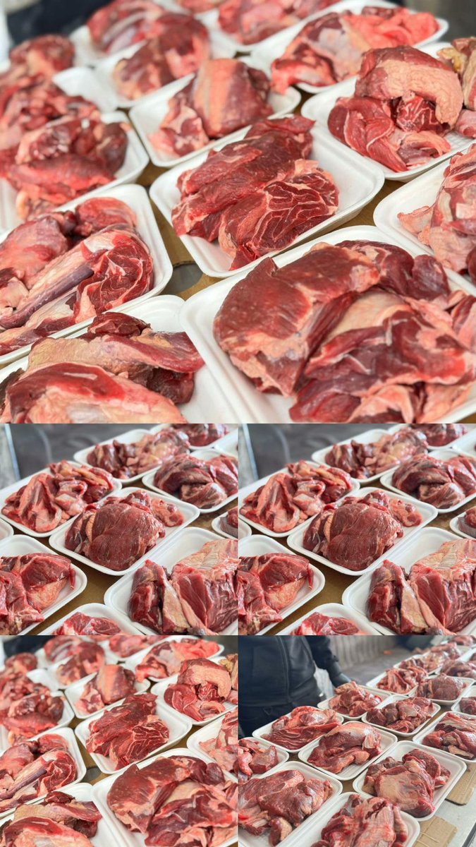 دعاء الشريف Doaa El shareef | 🇵🇸 tweet media