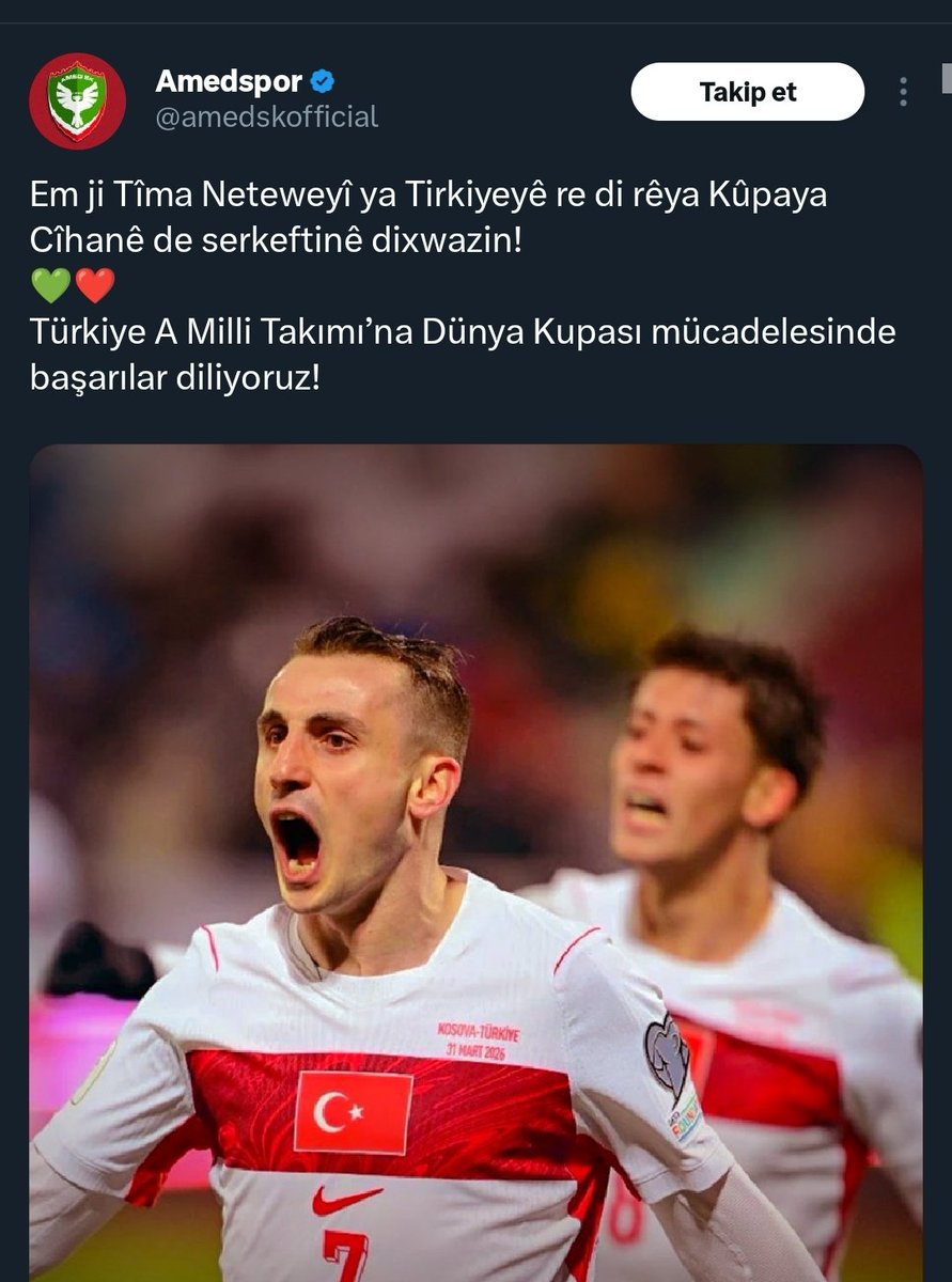 Elî MED ✹ tweet media