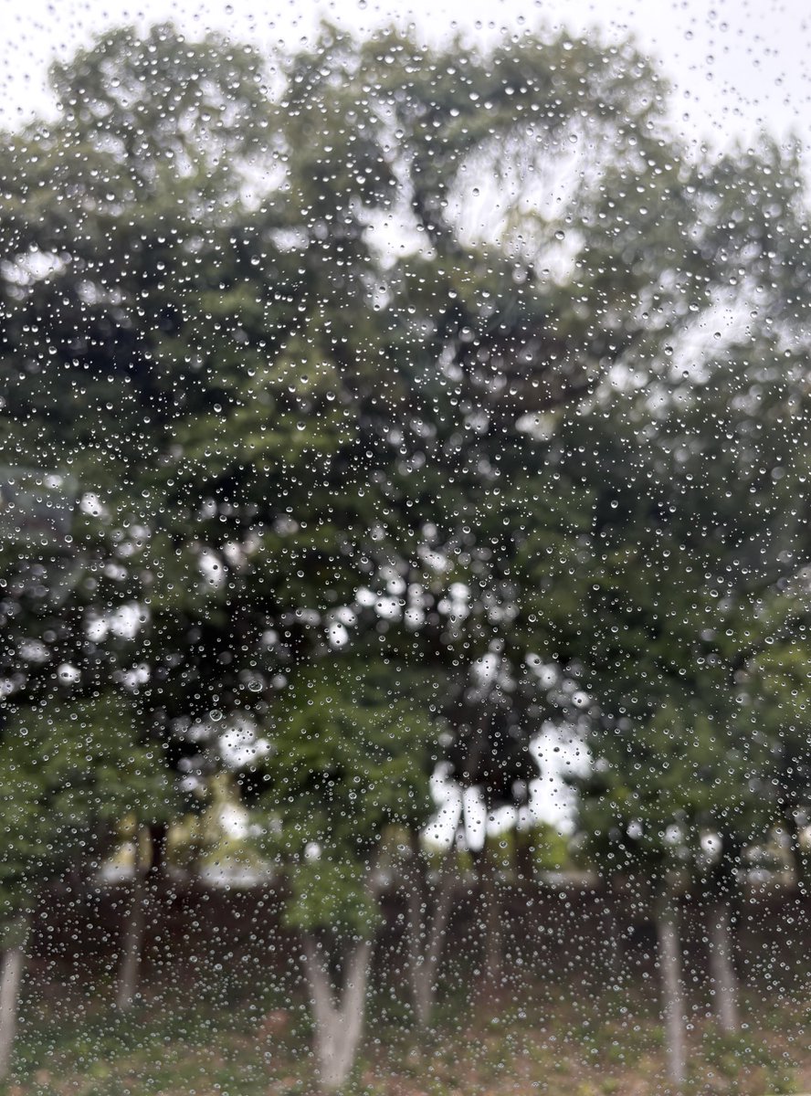 もはやサーファー様ではないやすお tweet media