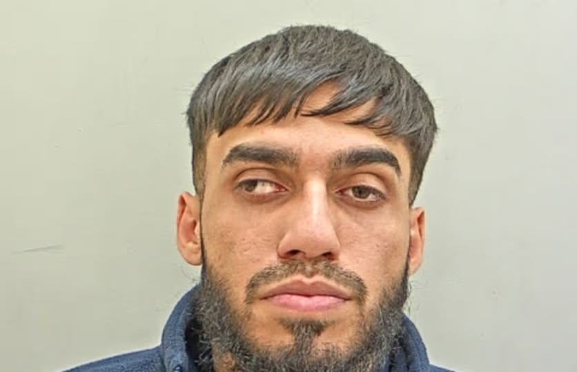 Alexandra tweet media