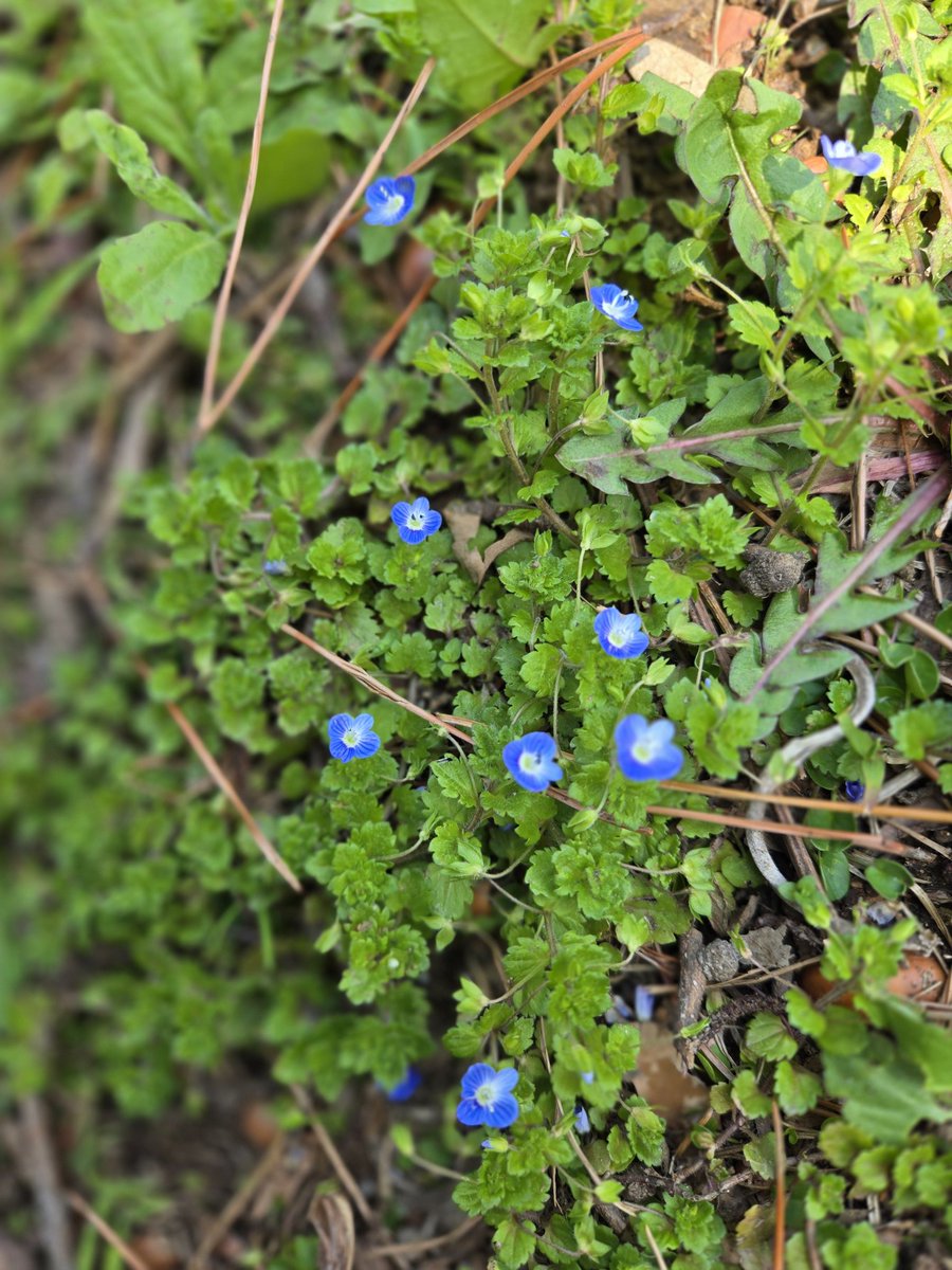 メールマガジン登録・解除