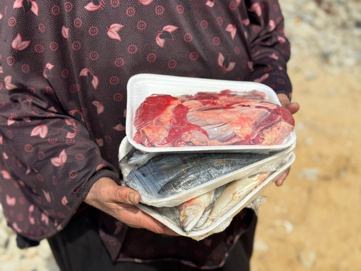 دعاء الشريف Doaa El shareef | 🇵🇸 tweet media