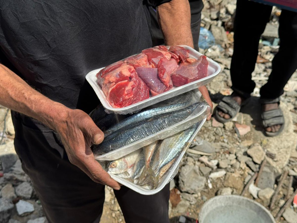 دعاء الشريف Doaa El shareef | 🇵🇸 tweet media