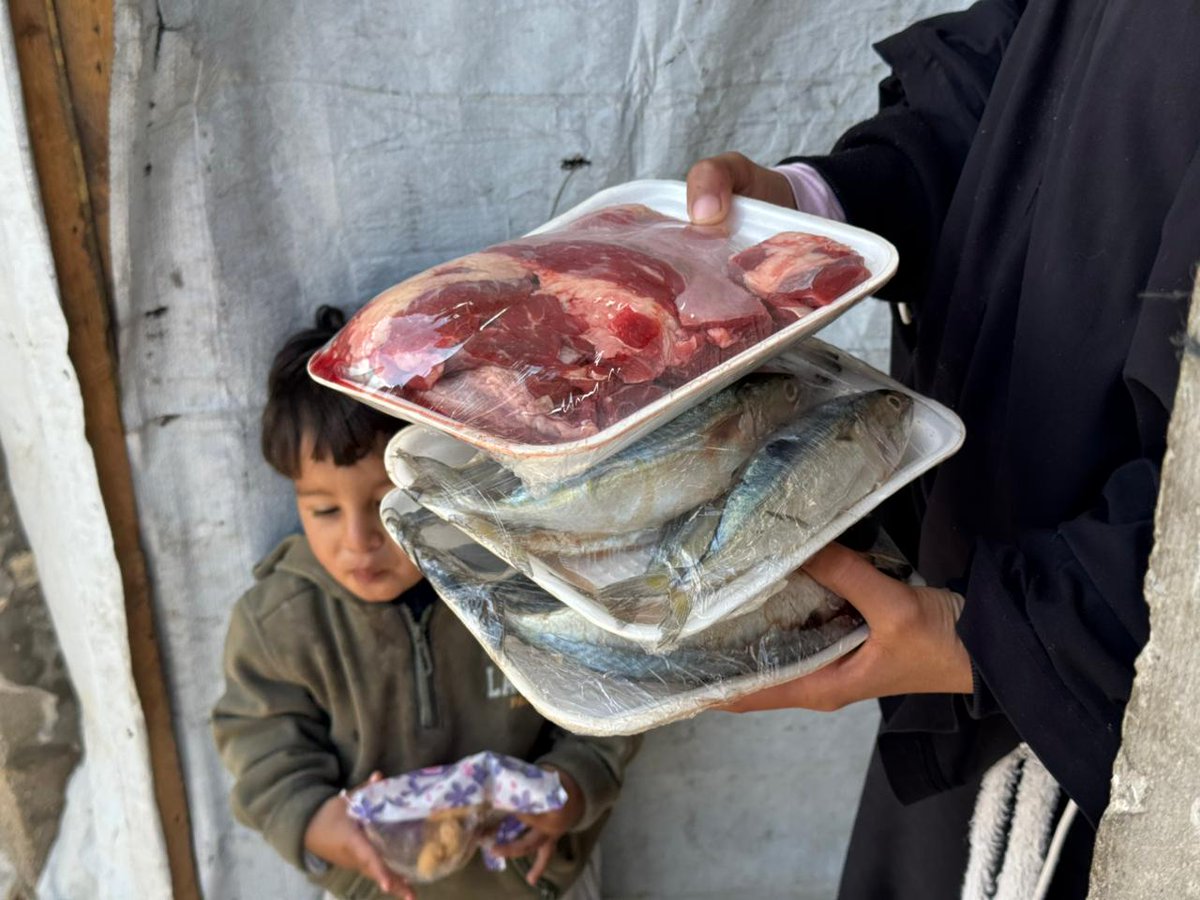 دعاء الشريف Doaa El shareef | 🇵🇸 tweet media