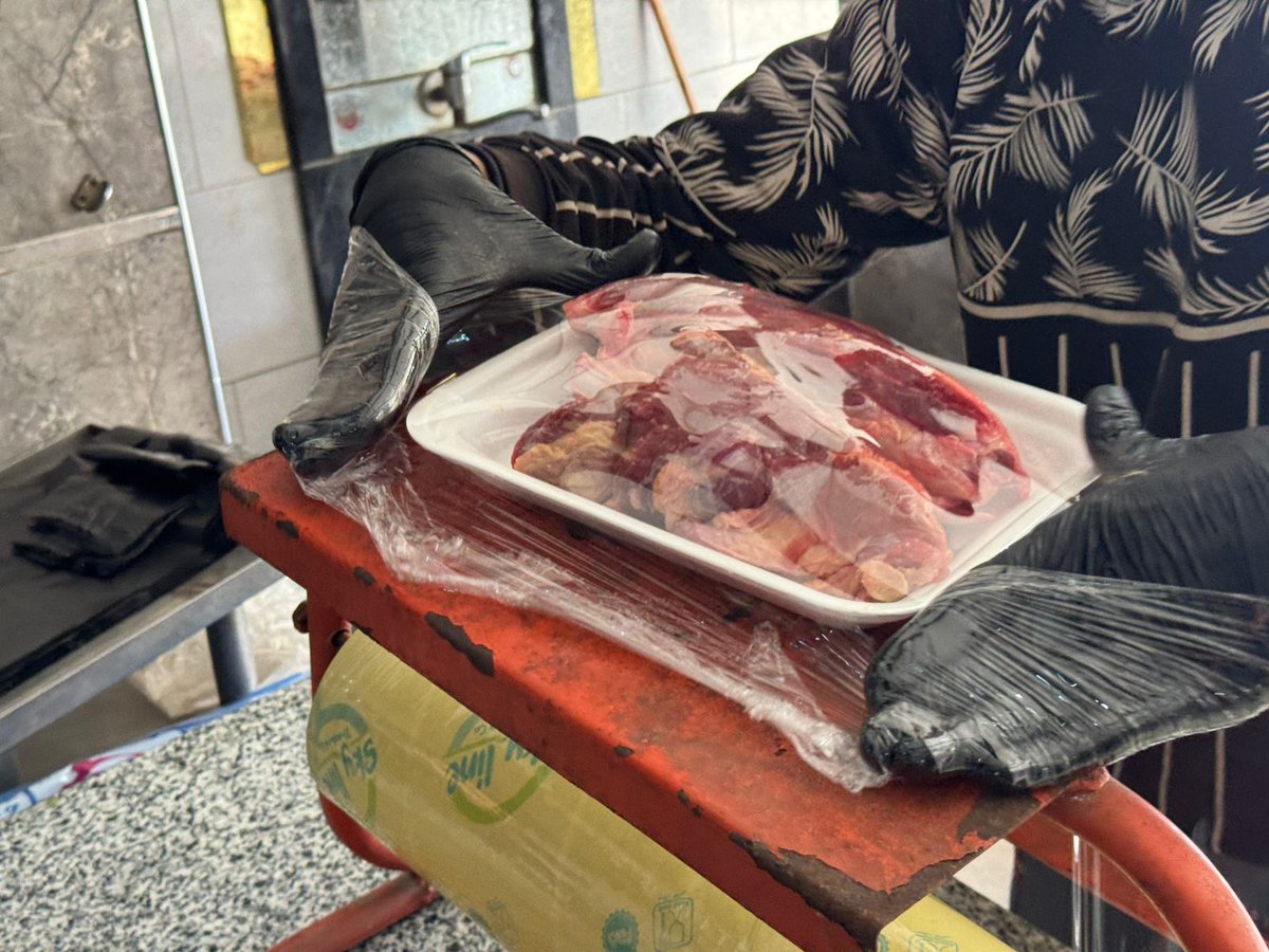 دعاء الشريف Doaa El shareef | 🇵🇸 tweet media