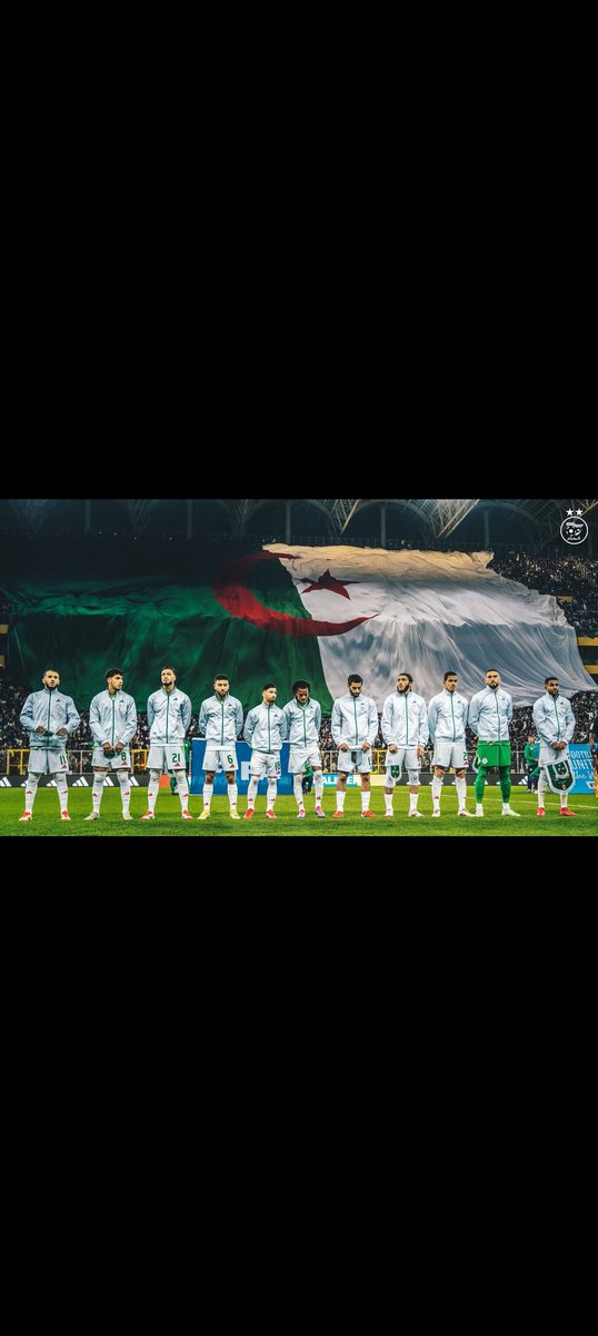 KHALED +213 🇩🇿 tweet media
