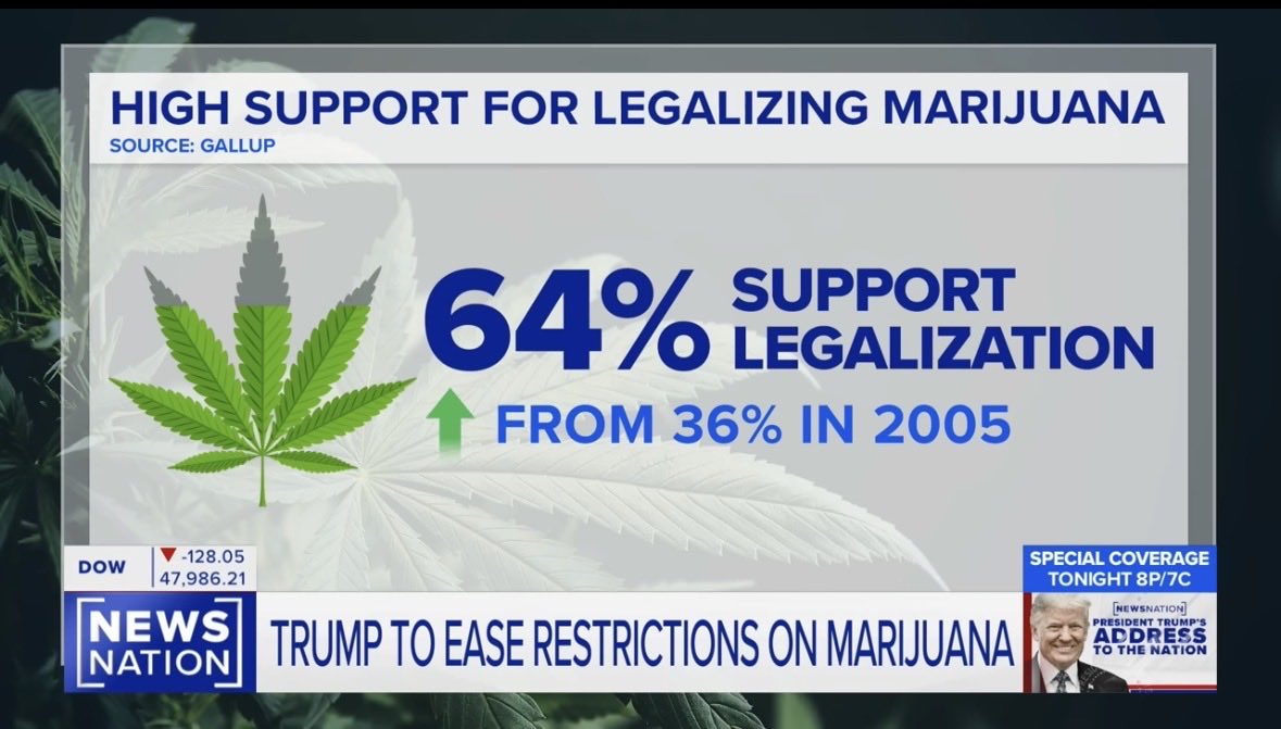 William Jonathan tweet media