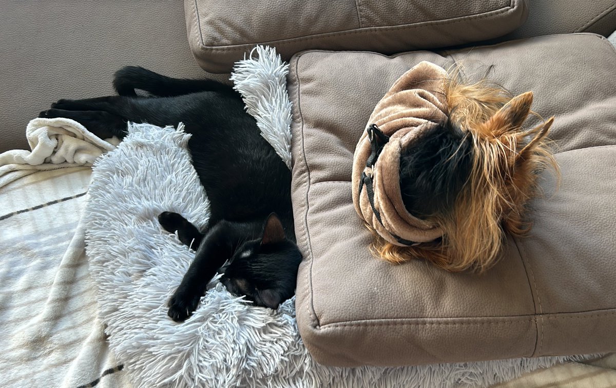 Sarah de Endo & Cnnbs 🌱 tweet media