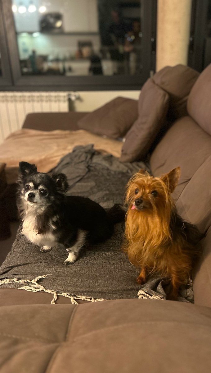 Sarah de Endo & Cnnbs 🌱 tweet media