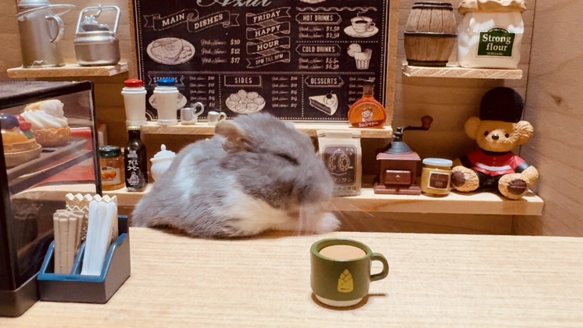 ハムスターのじんぱち【佐藤公亮】 tweet media