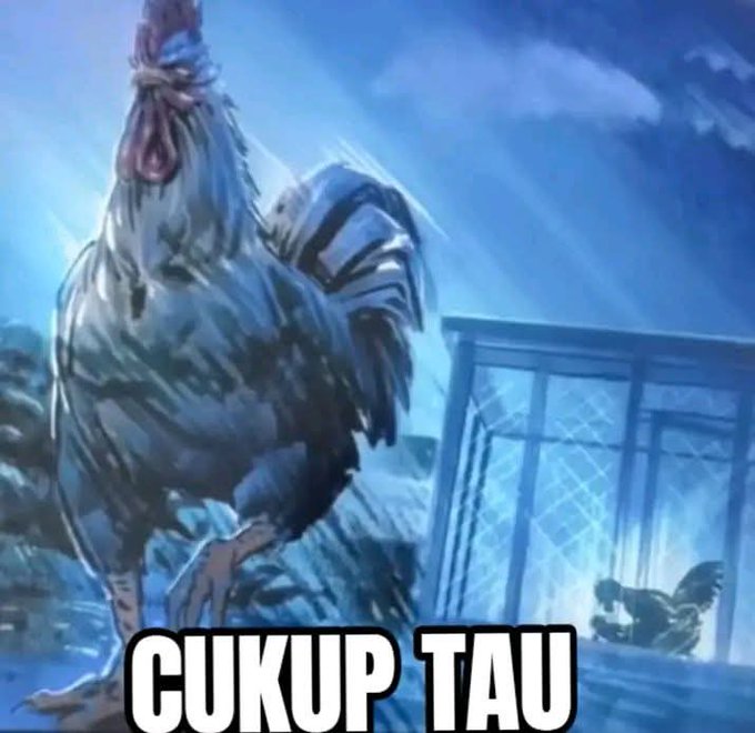 𝐰𝐨𝐧𝐛𝐞𝐞𝐧 tweet media