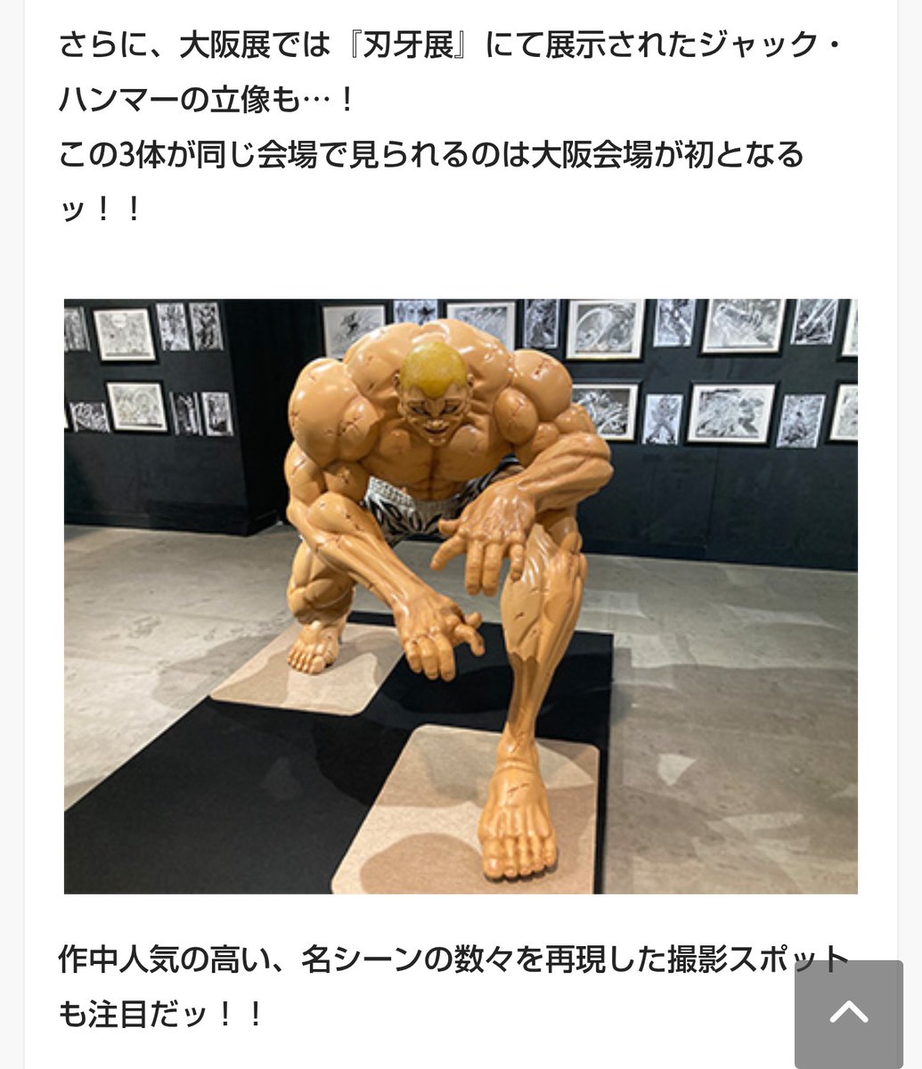 悪魔のグラップラー★涼子 tweet media