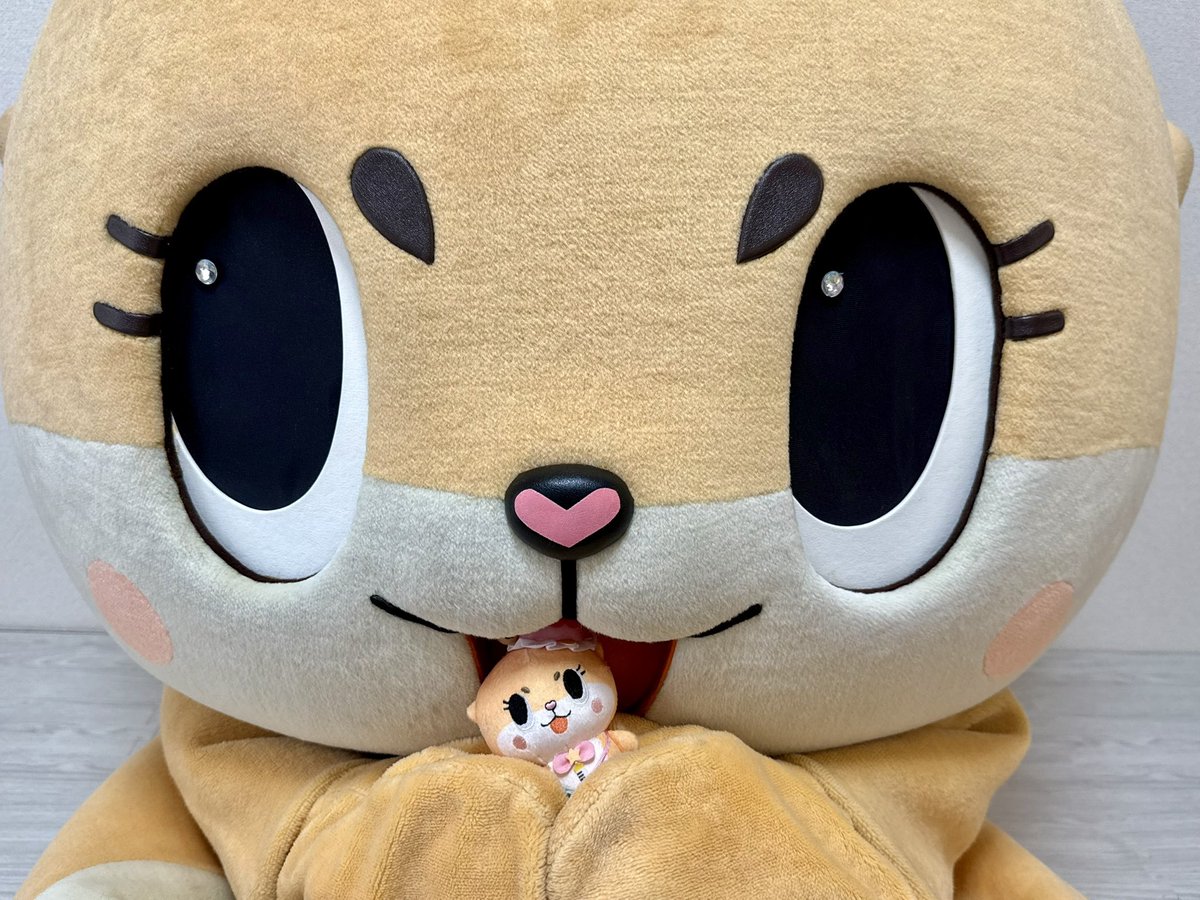 公式：ちぃたん☆九州 tweet media