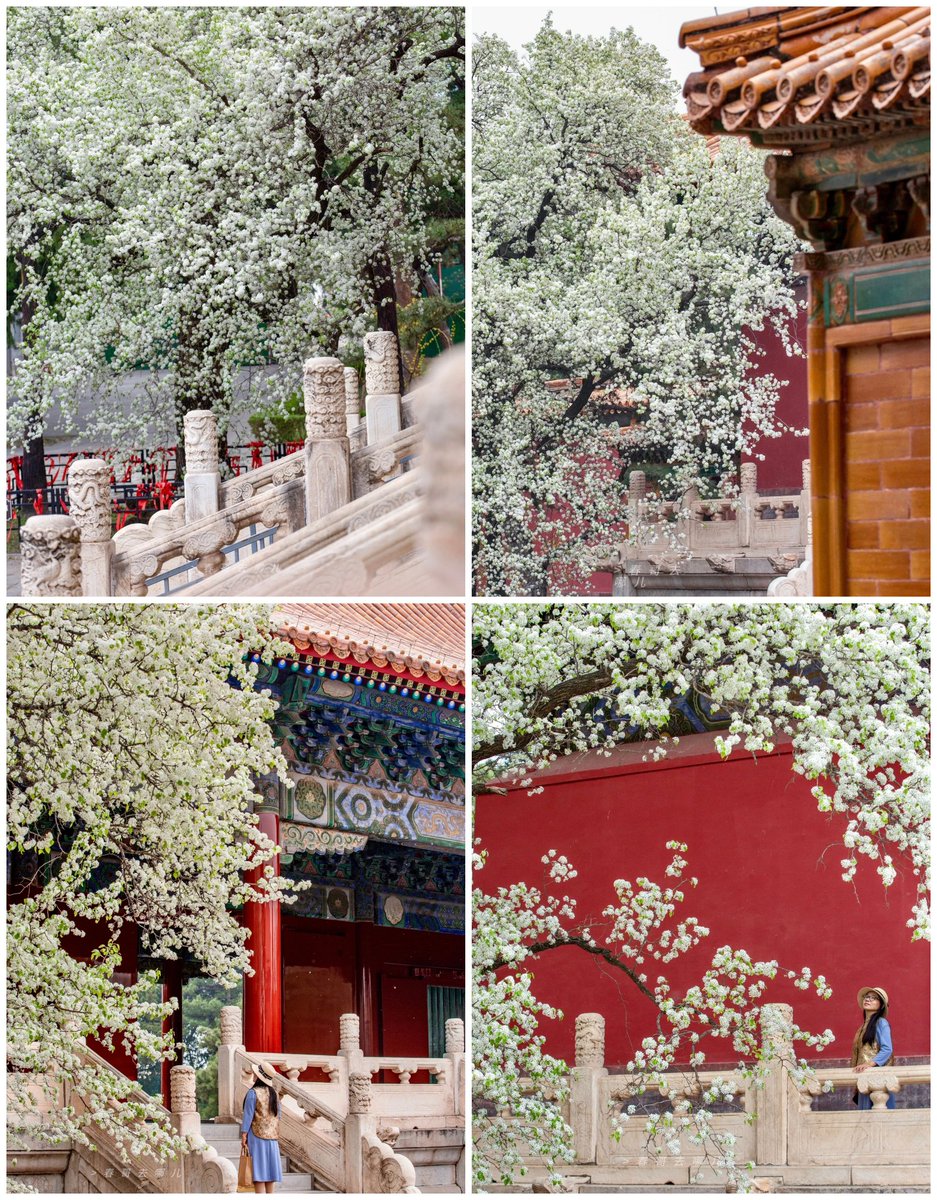 大美华夏 tweet media