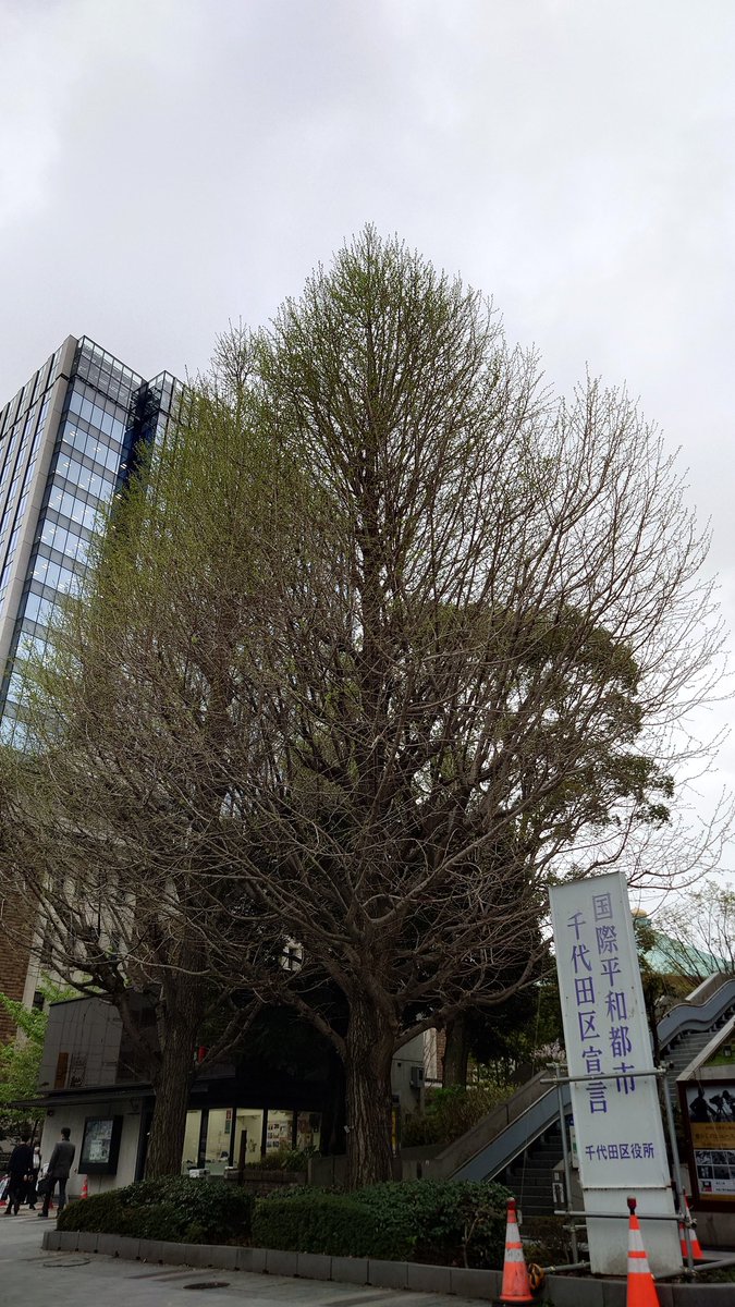 なべりんぐ tweet media