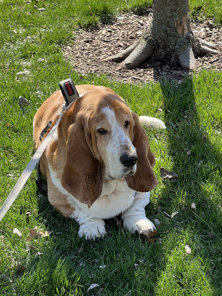 Marla Knott tweet media