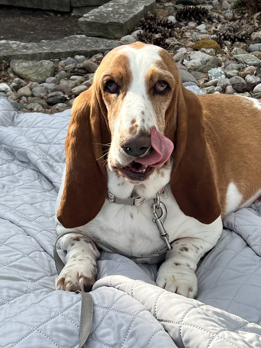 Marla Knott tweet media