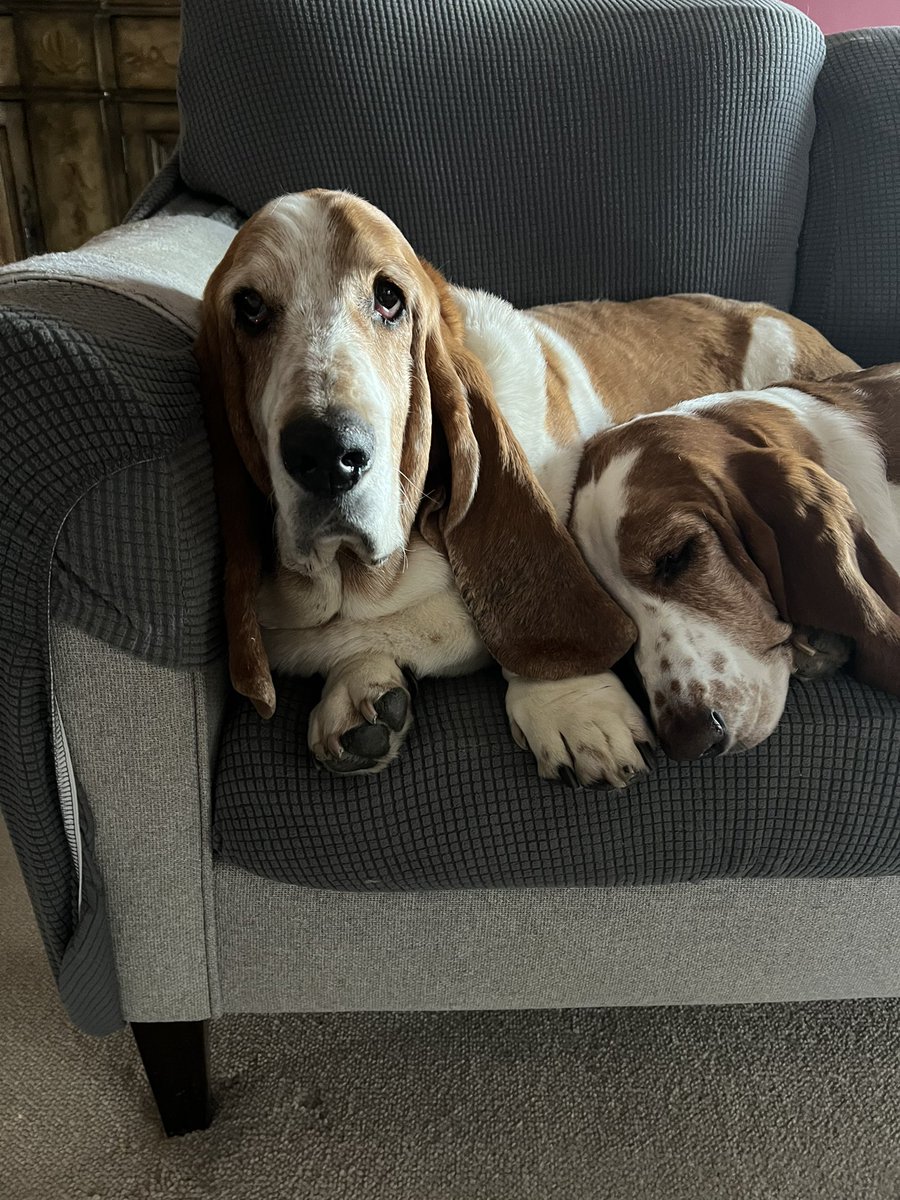 Marla Knott tweet media