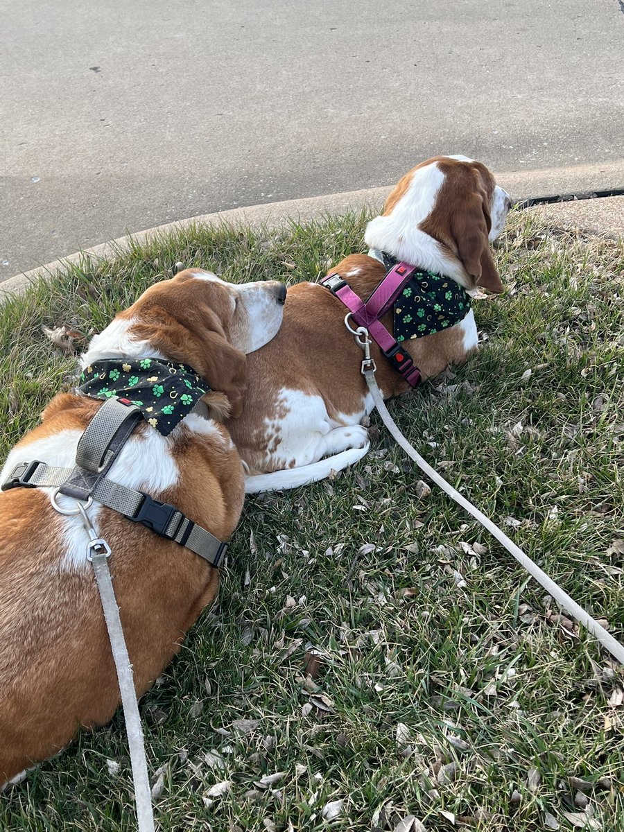 Marla Knott tweet media