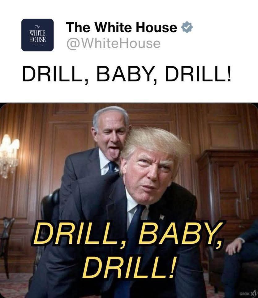 Mike Molnar tweet media