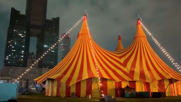 Happiness can be surprisingly straightforward: sometimes, all it takes is a delightfully indulgent pork cutlet.