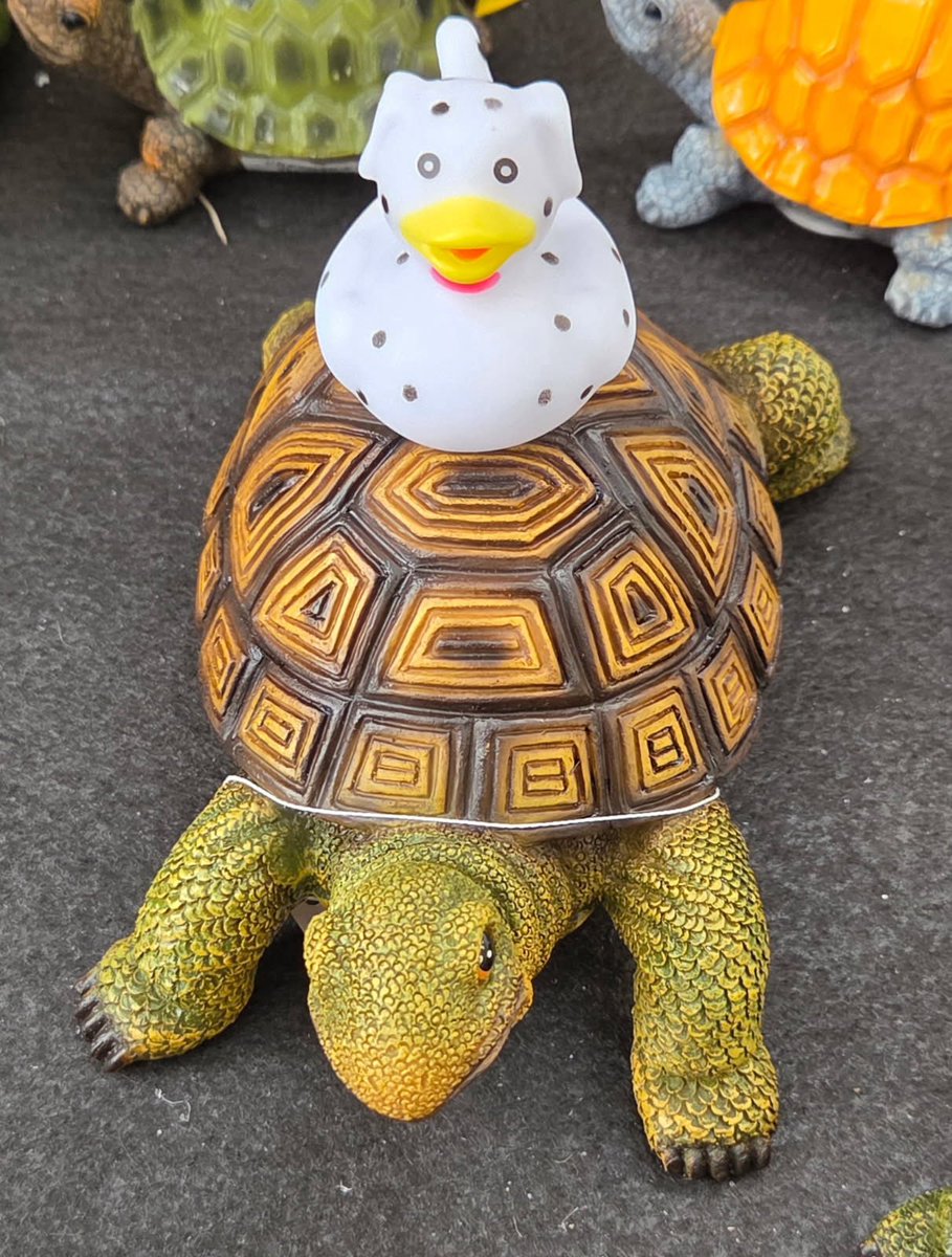 FortZumwalt EarlyEd tweet media