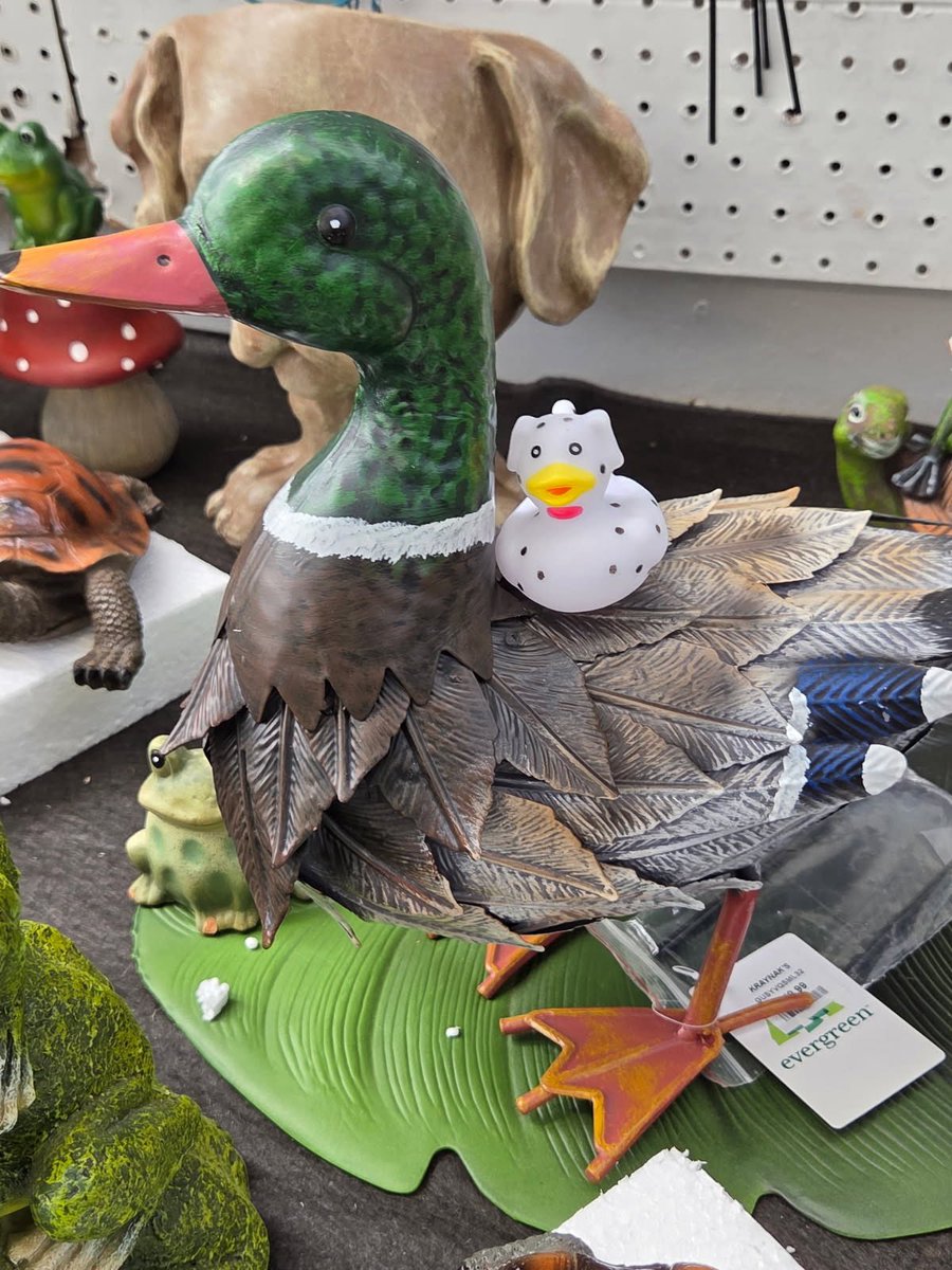 FortZumwalt EarlyEd tweet media