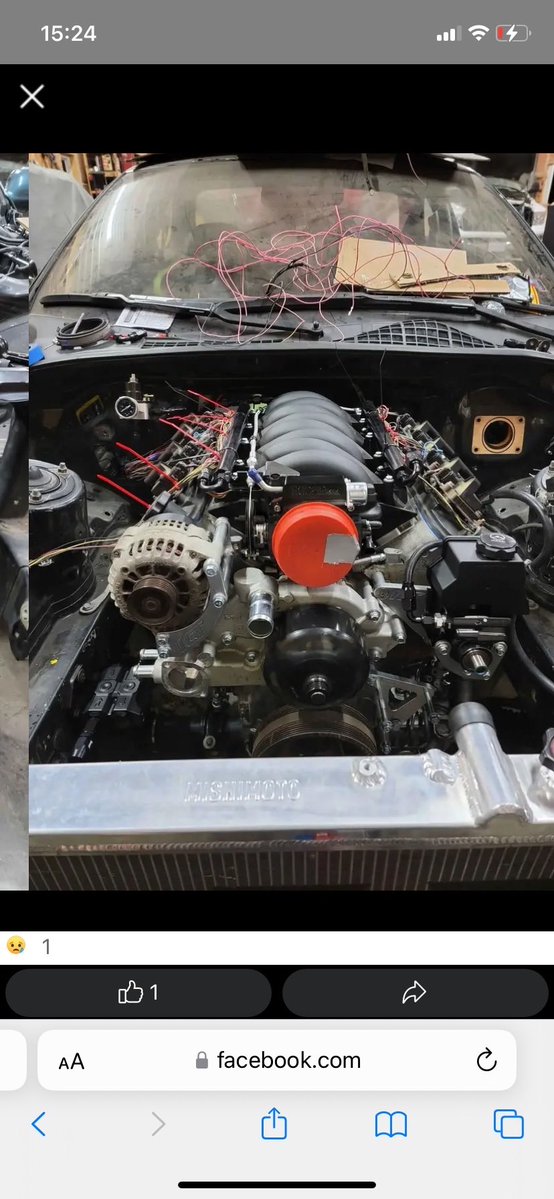 TrumpsRedeemedBnuuy tweet media