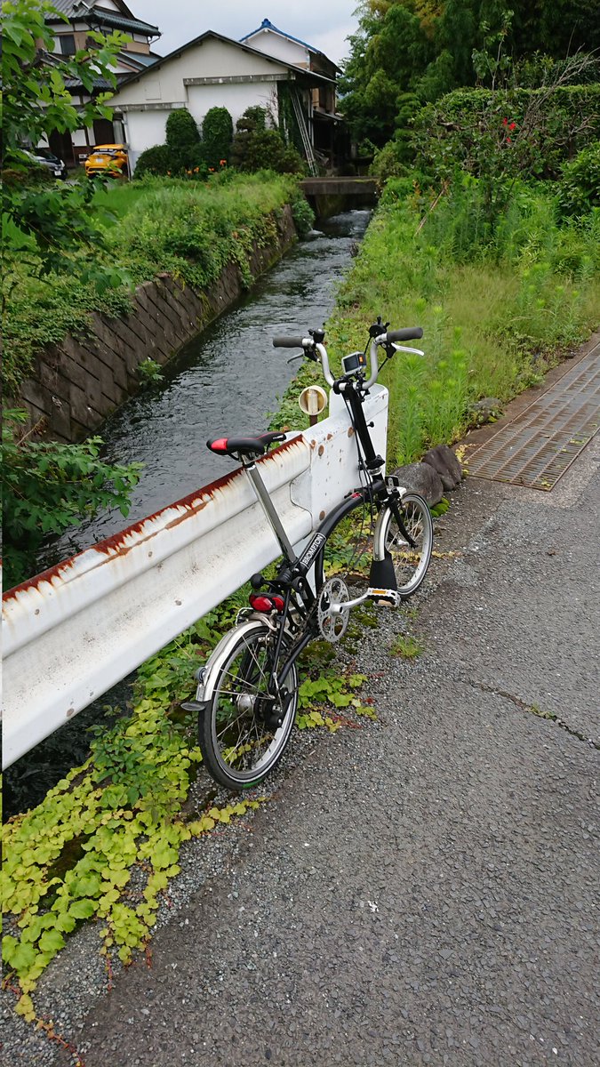 ruri膝ナッパ tweet media