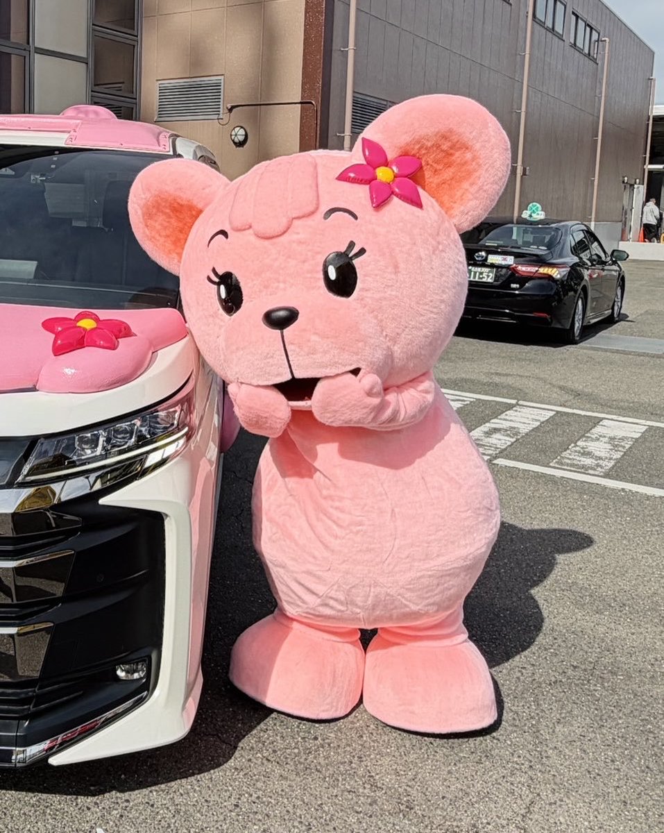 子ぐまのマーくん tweet media