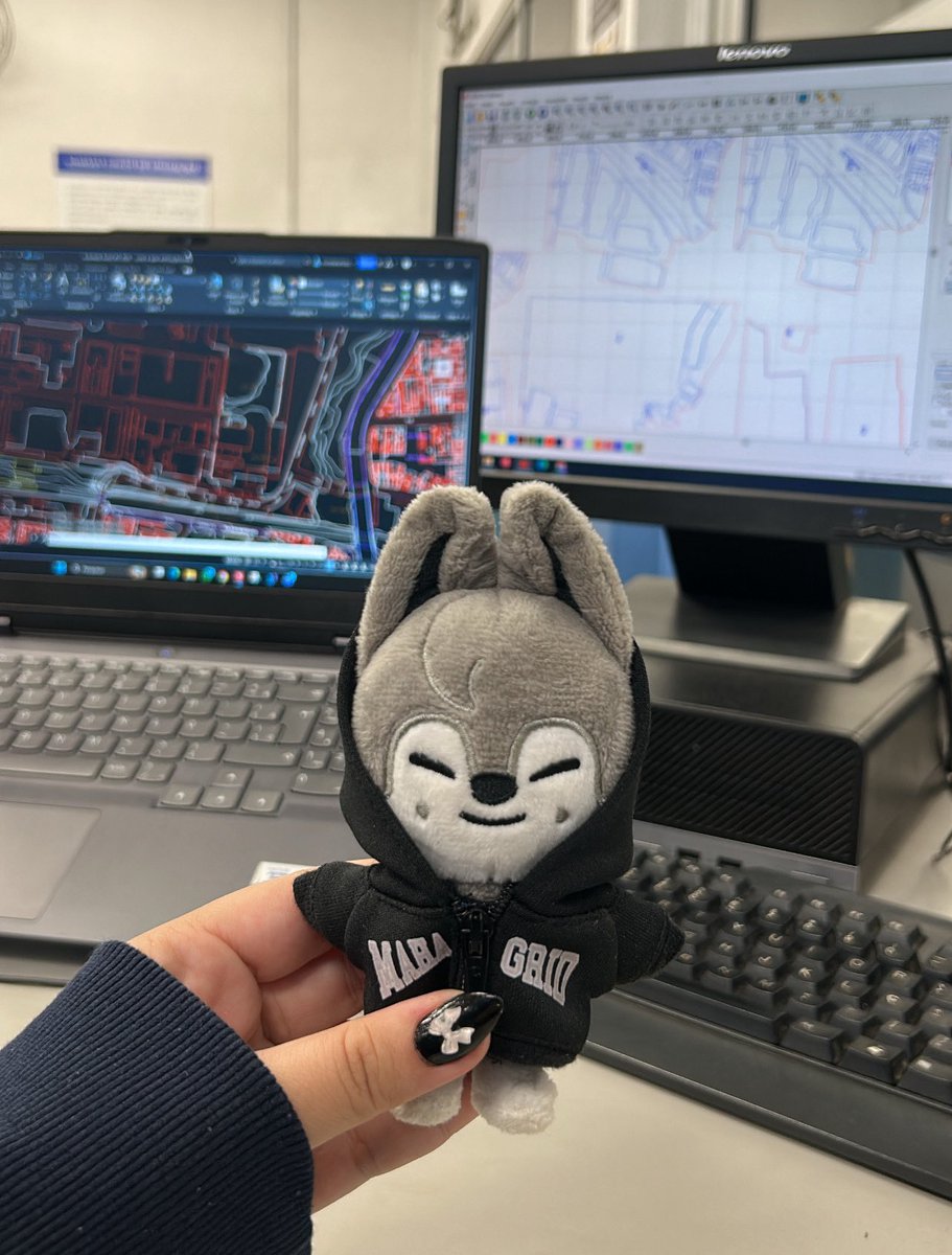 livia 🐺 VAI VER O SKZ DNV tweet media