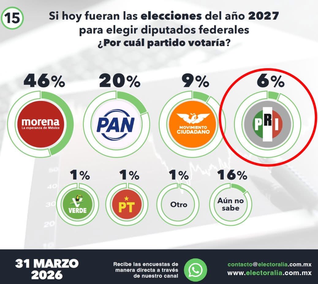 El Franky  tweet media