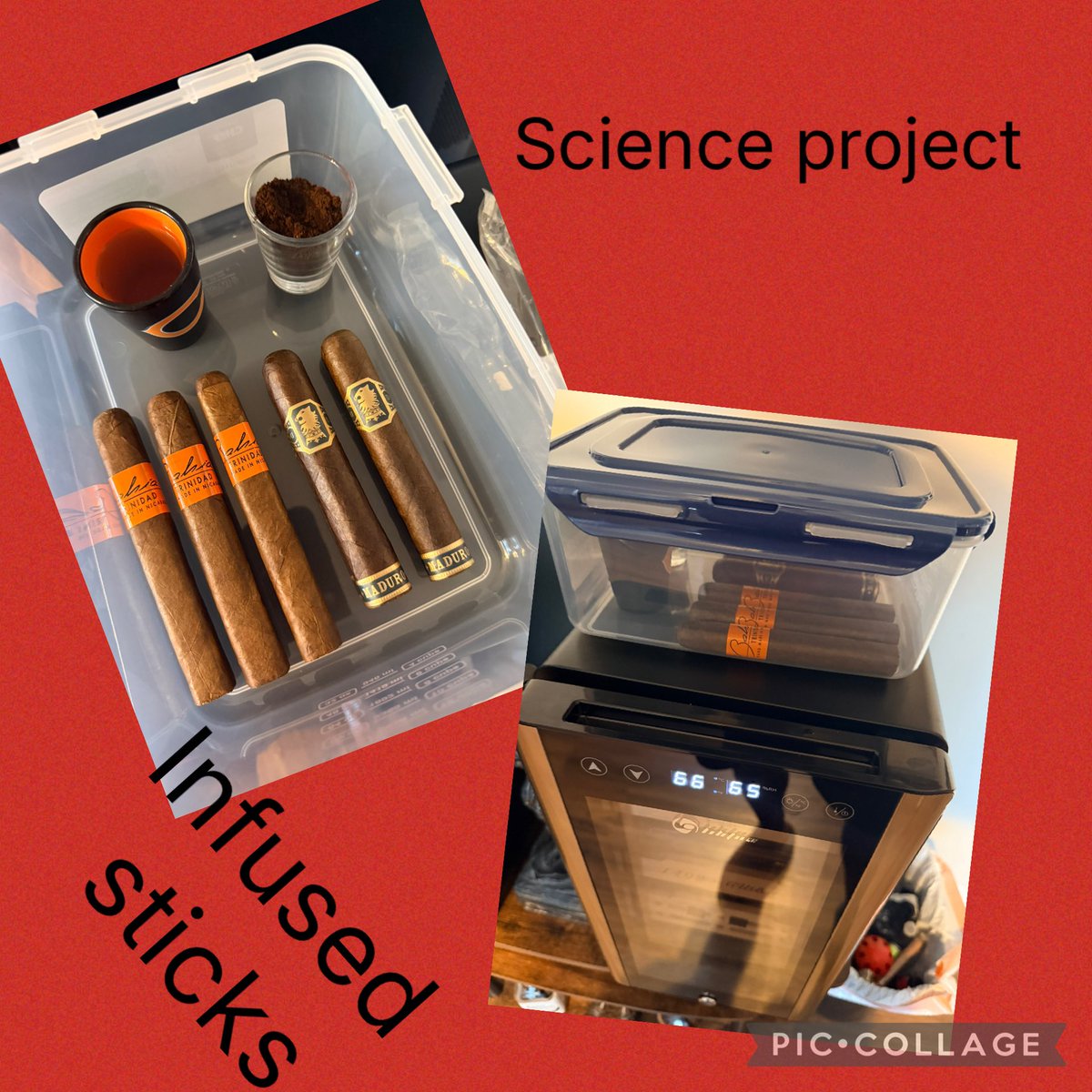 Shytown_Myk's tweet image. #scienceproject #infusedsticks