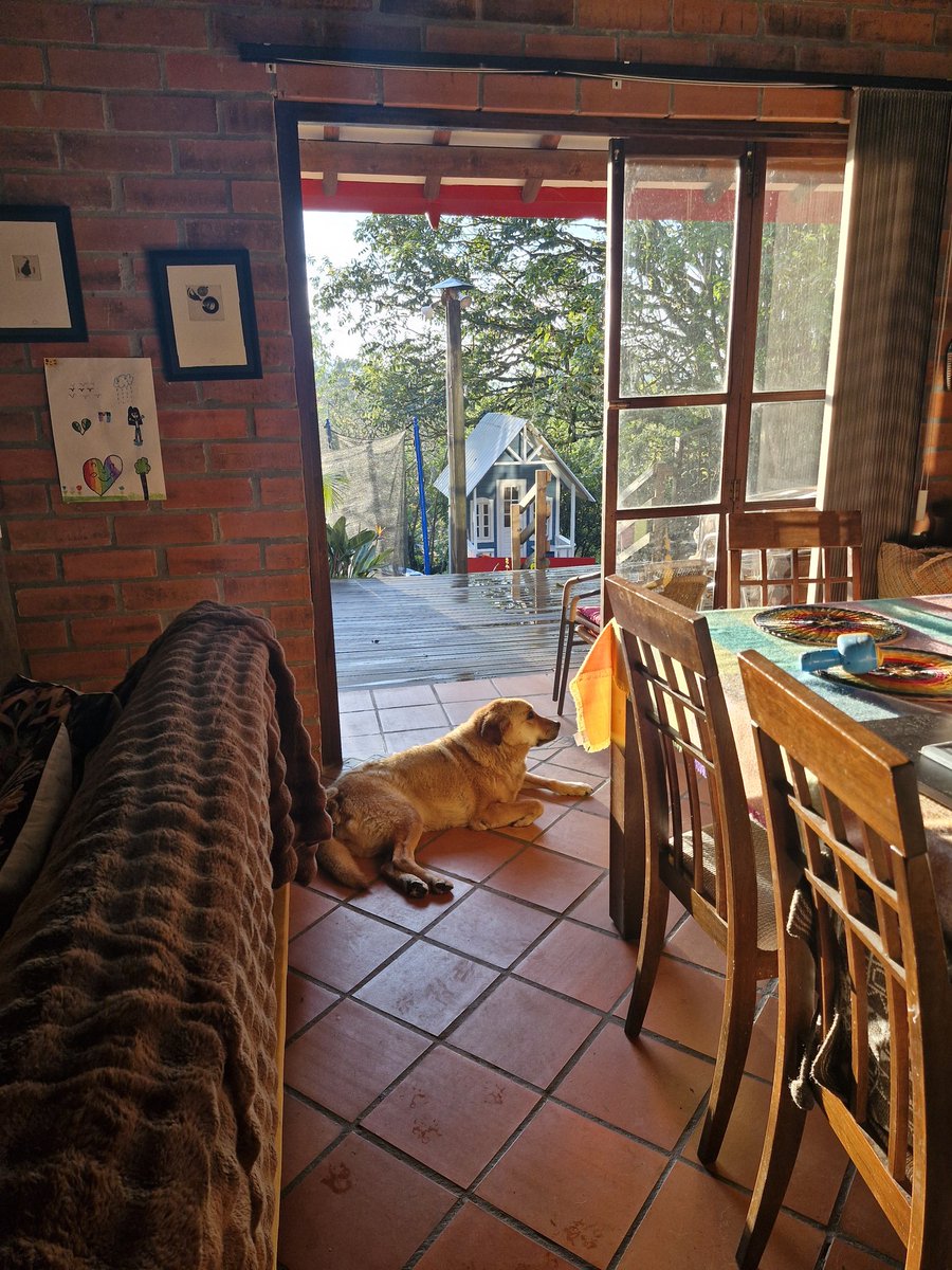 ORLANDO GALLO tweet media