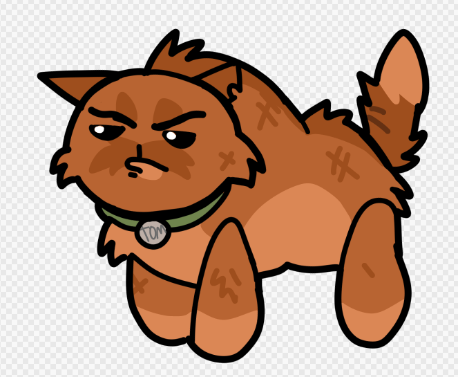 Ray 🐟🦭 tweet media