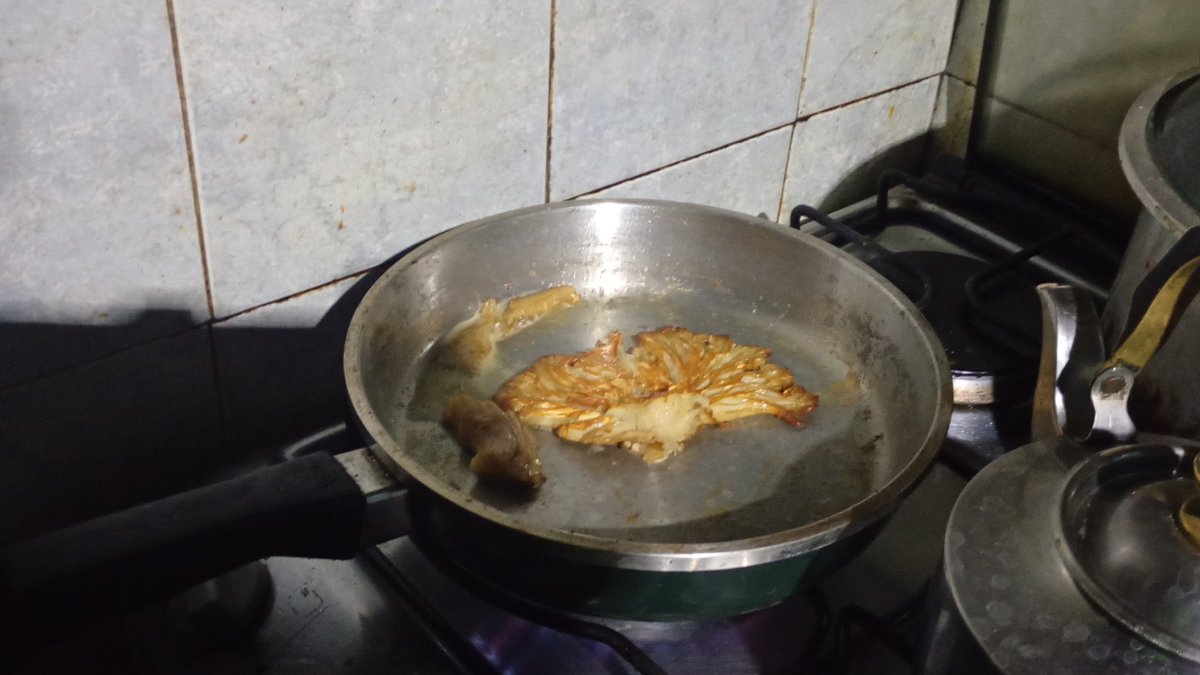 Paleo_Lazo (Lazo)🐊🐊🐊🐊🐊🐊🐊🐊🐊🐊🐊🐊🐊🐊 tweet media