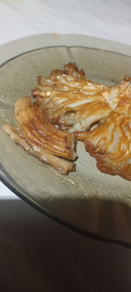 Paleo_Lazo (Lazo)🐊🐊🐊🐊🐊🐊🐊🐊🐊🐊🐊🐊🐊🐊 tweet media