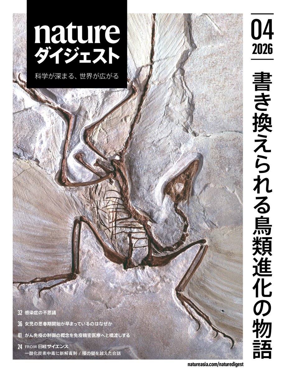 4月号 ジュラ紀の鳥類は1世紀以上にわたり、アーケオプテリクス
