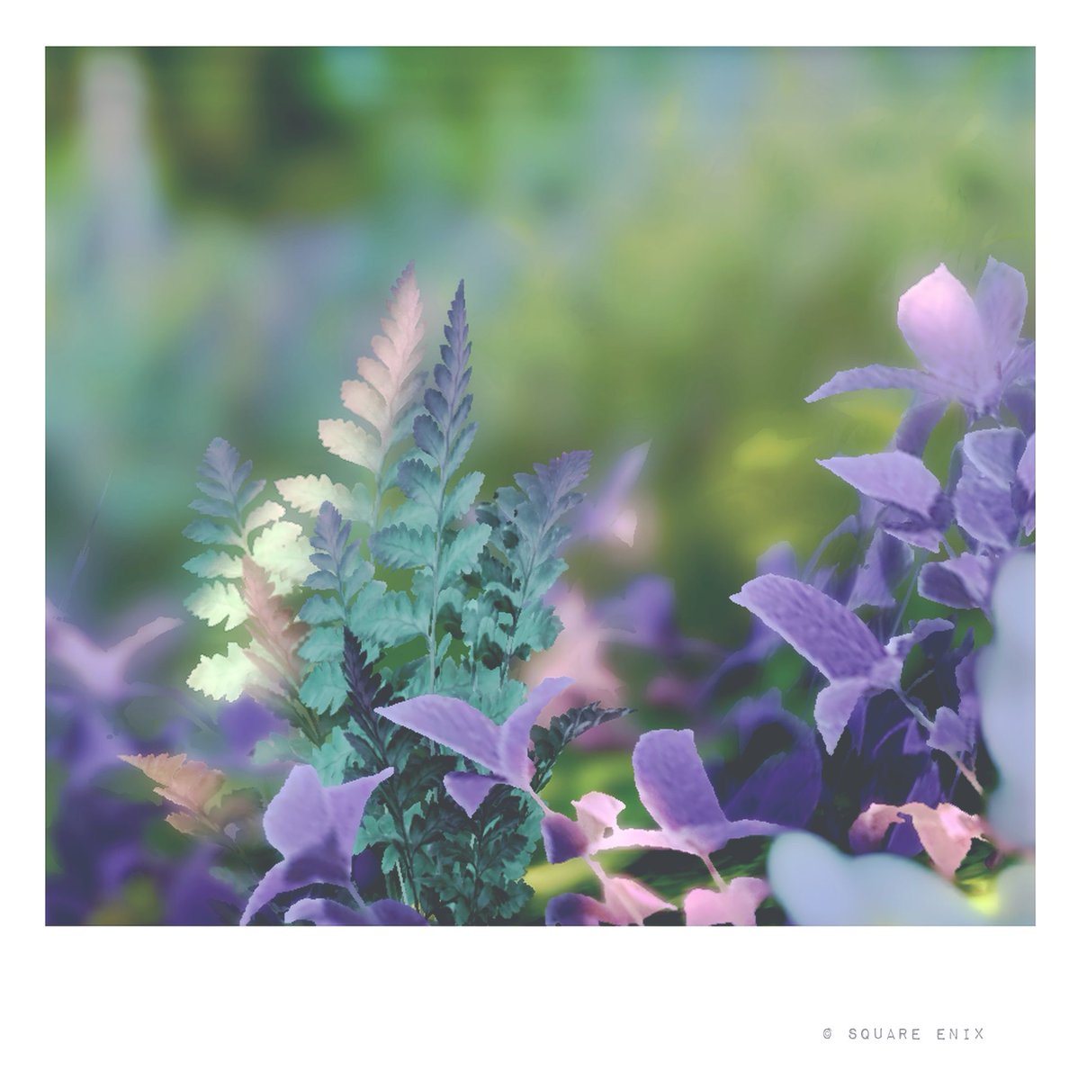 二日月 tweet media