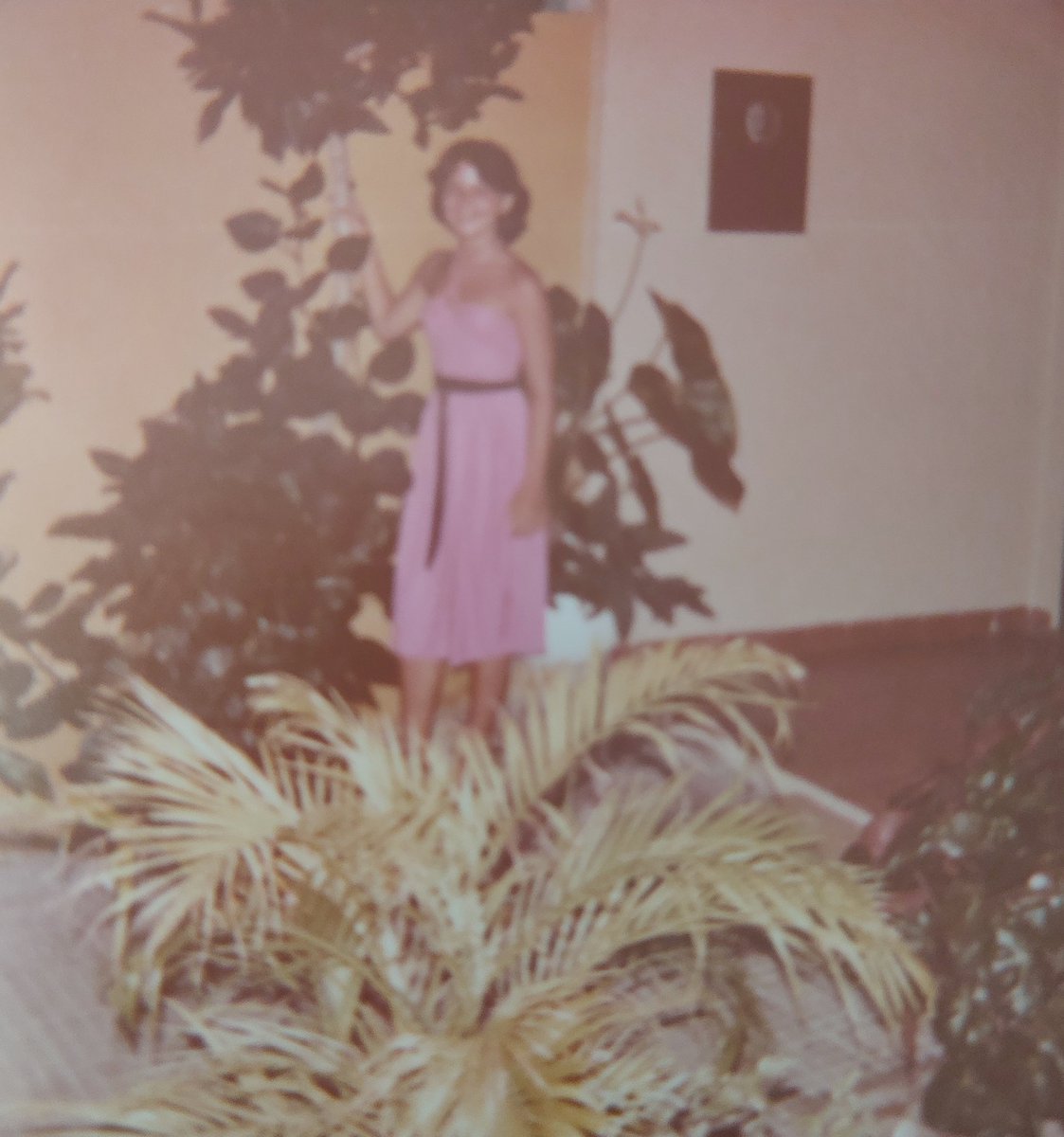 A N Pontes 🫡🇧🇷👉 tweet media